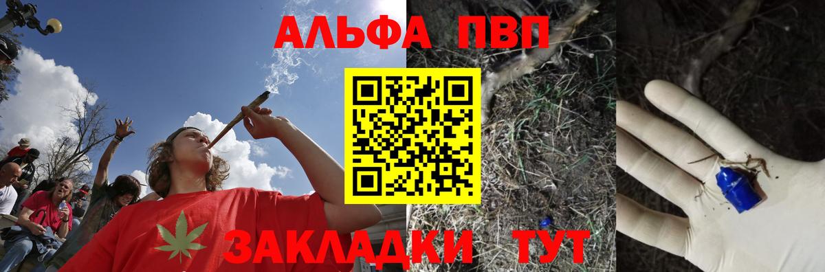 Кингисепп  Alfa_PVP Соль  Вход с VPN  A PVP СК КРИС  А ПВП СК КРИС 