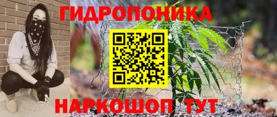 a pvp Канаш