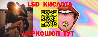 ГАЛЛЮЦИНОГЕННЫЕ ГРИБЫ Кандалакша