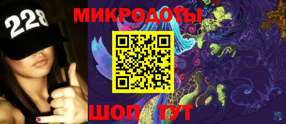 Псилоцибиновые грибы прущие грибы Кингисепп