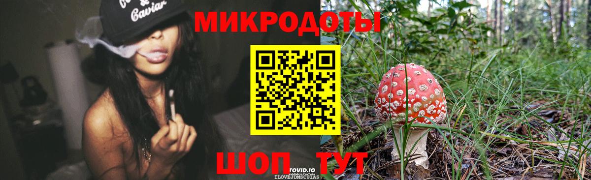 Псилоцибиновые грибы MAGIC MUSHROOMS  Вход с VPN  Кингисепп 
